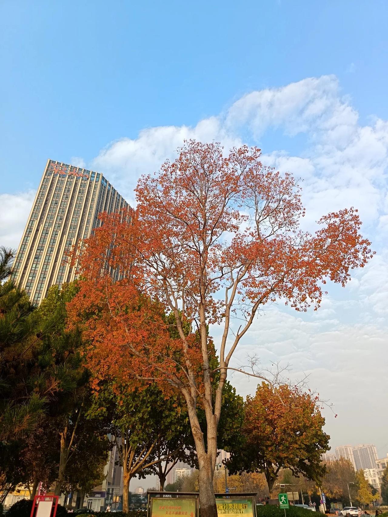 现在，只要是写原生家庭的，男女对立的，基本都有不错的阅读量。

如果你再极端一些