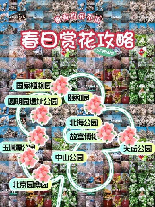 【实时更新版】2025北京春季赏花地图🗺️