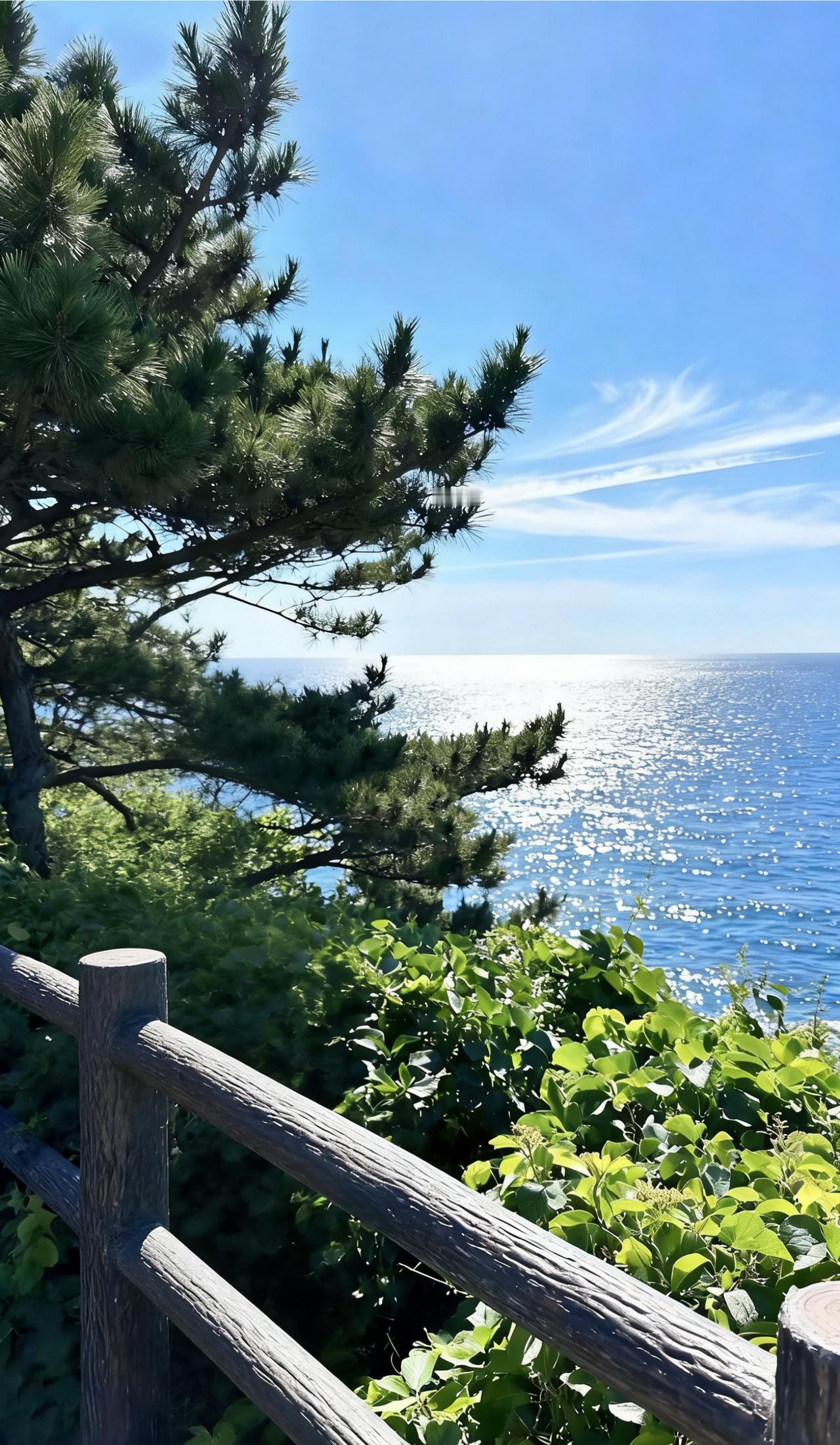 分享今日随手拍的照片