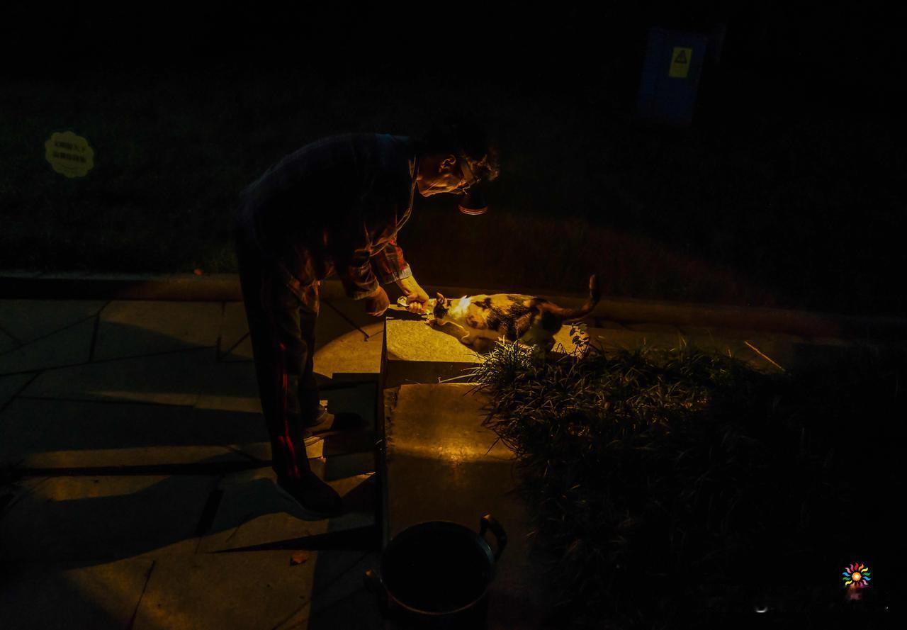 深夜微光

夜色沉沉，四周归于寂静。一束微弱的灯光，划破小区沉沉的黑夜。

老人