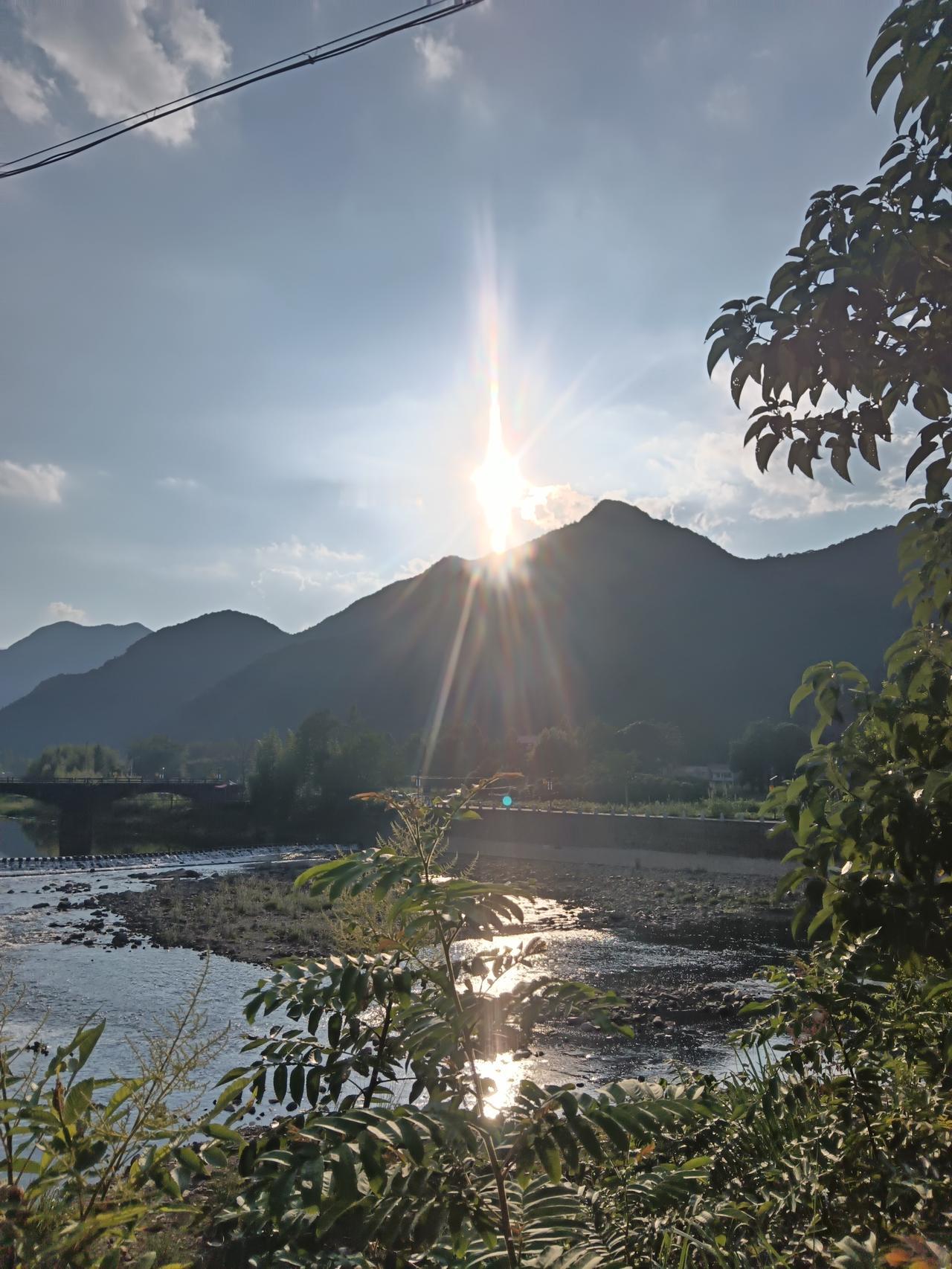 分享一张最近随手拍的照片