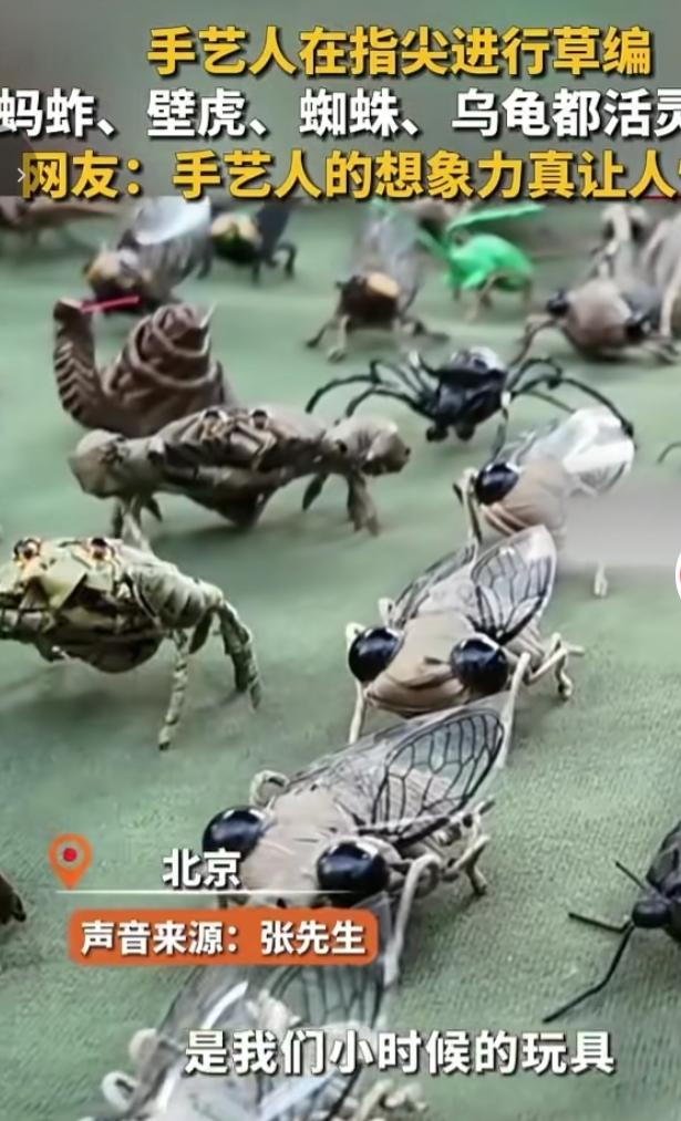 指尖生巧，传统草编手艺让人眼前一亮。手艺人以普通草材为原料，巧手翻飞，编织出知了