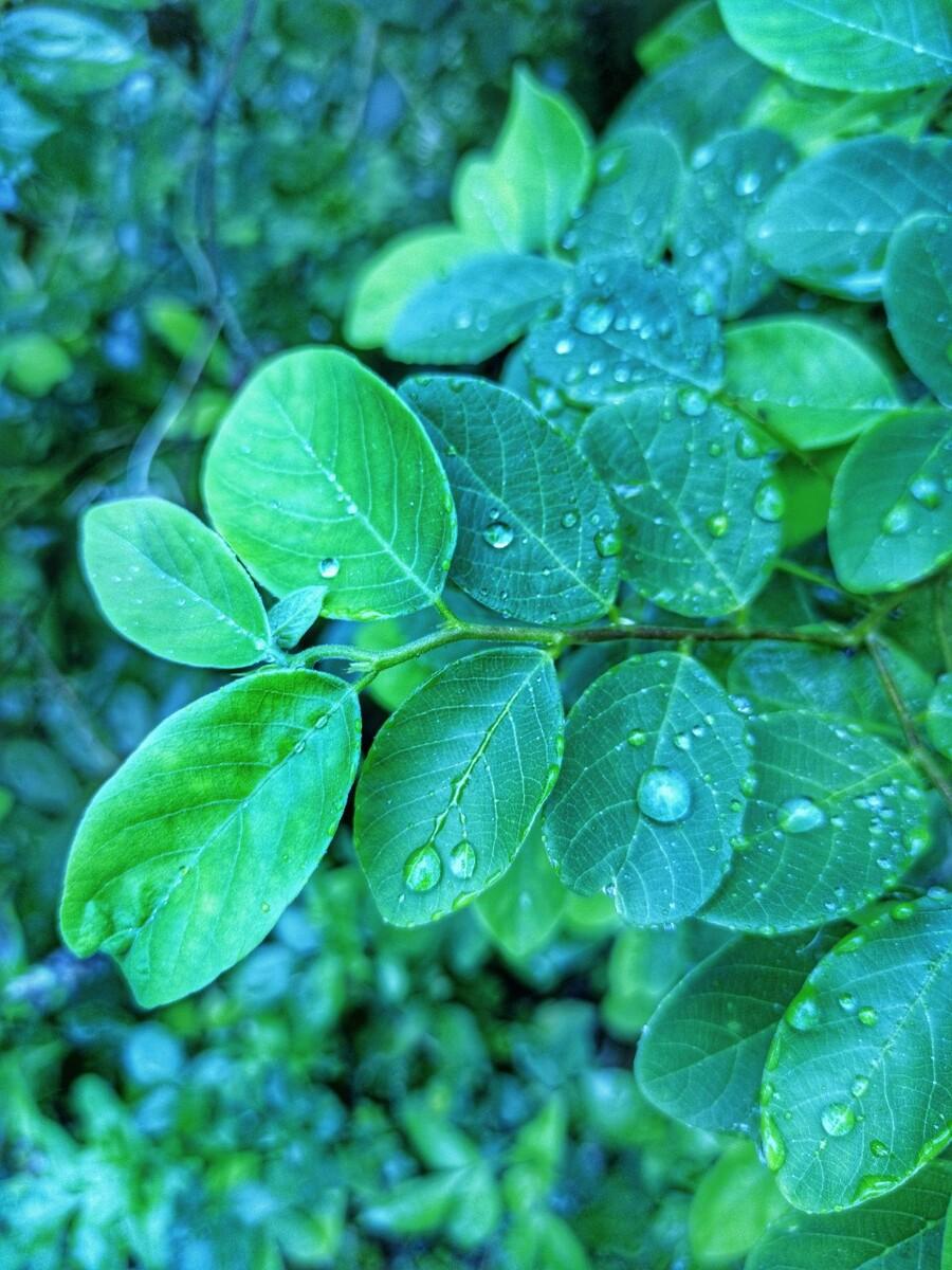 康熙一生八次去江南巡游，乾隆也去了六次，对于皇帝来说出巡是一件大事，不仅仅是招摇