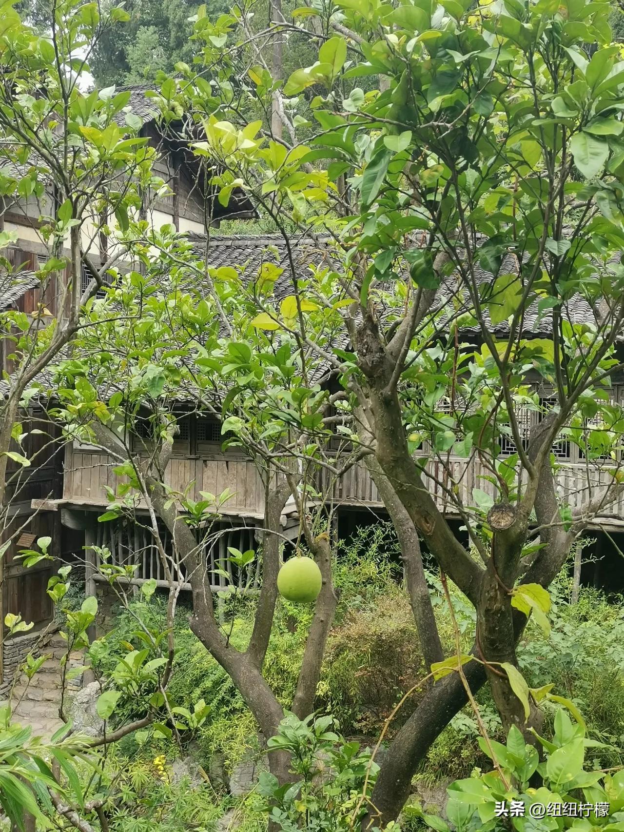 #一人发表一句今天的感悟#
填志愿时师范类看都不看，自己当老师的，不希望孩子报师