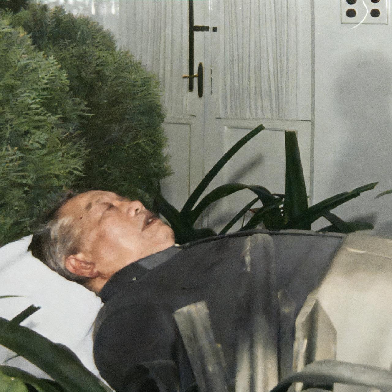 1983年，谭震林葬礼上，一张罕见的留影，照片中的他躺在绿植中，遗容非常的安详，