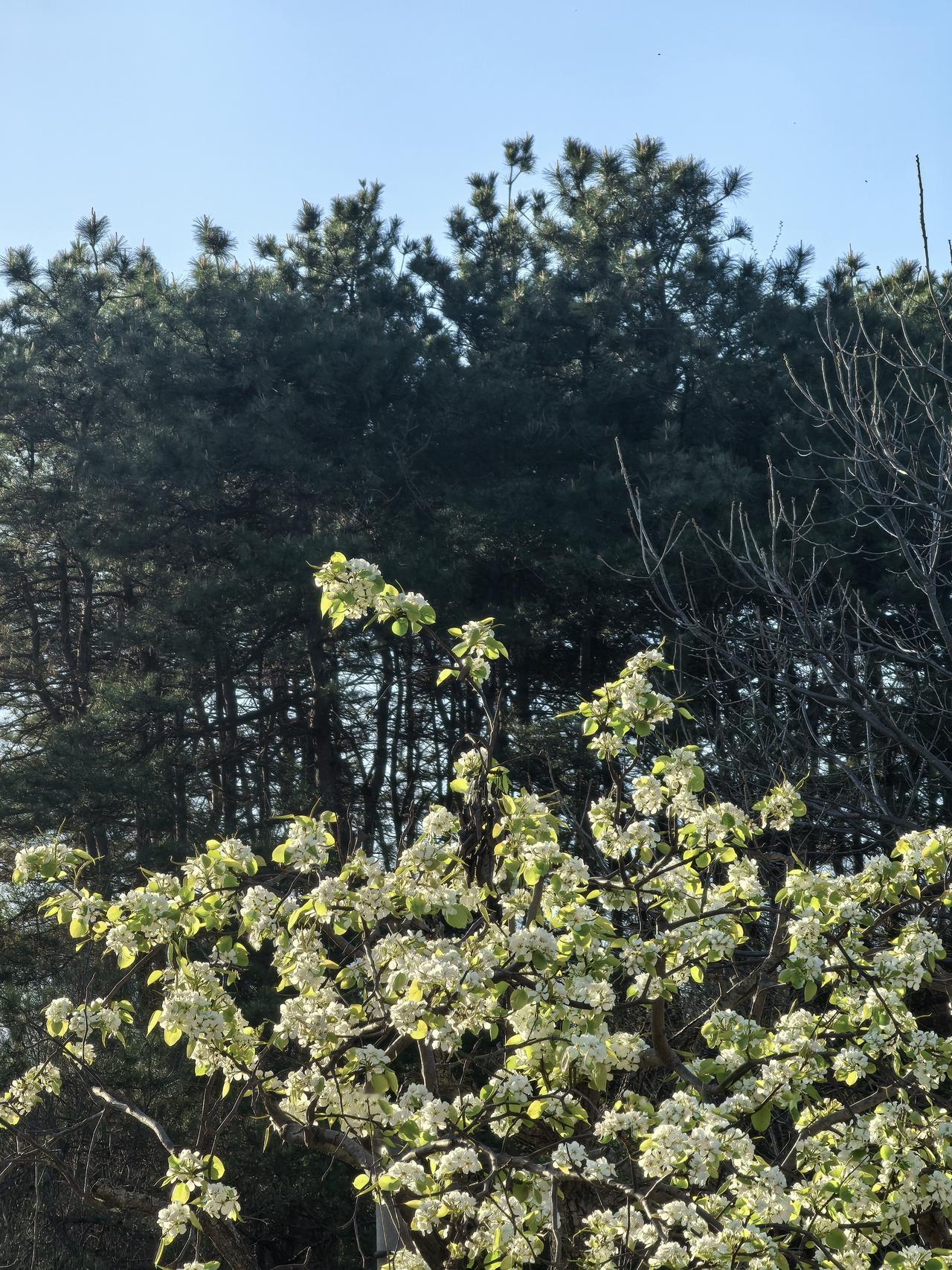 我突然发现头条一个小秘密，就是你能刷到自己的内容，那就证明这条内容流量不是很好，