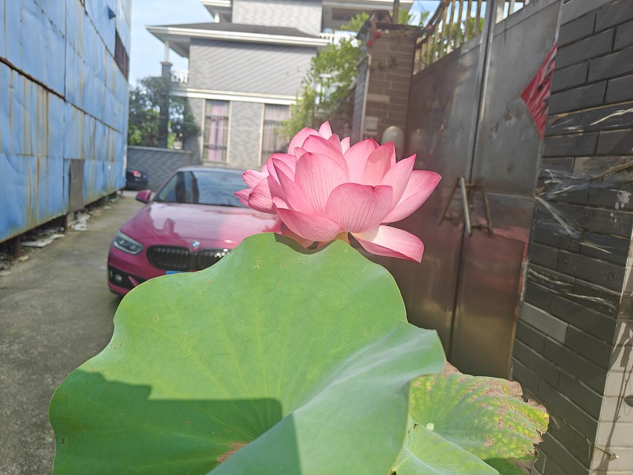 我真的想不通要崩溃了，你说生儿子的人就这么难吗？

我只有一个儿子，从小我就很爱