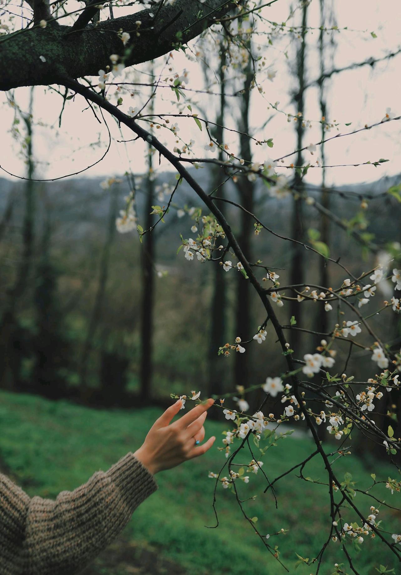 亲情是港湾，友情是风景？30岁那场病让我懂了…

那天发着高烧，手机里朋友的问候