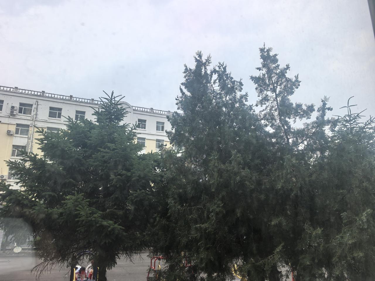 闲来无事，感觉自己每天都在浑浑噩噩的过着。孩子们工作的工作，上学的上学，小孙女也