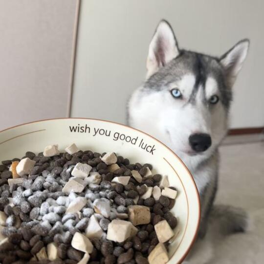 每次吃饭就这个表情