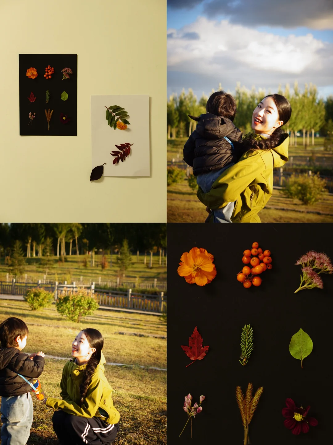 🍂   采几枝秋，作春粮。