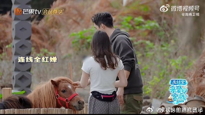 没睡醒的全红婵被迫营业张家齐叫全红婵宝宝亲爱的客栈朦胧睡意挡不住可爱，全红婵被迫