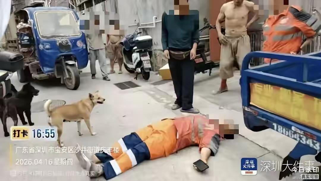 这男的惹众怒了！深圳一环卫工人劝阻男子乱倒建筑垃圾，惨遭暴力殴打
 
城市绿化来
