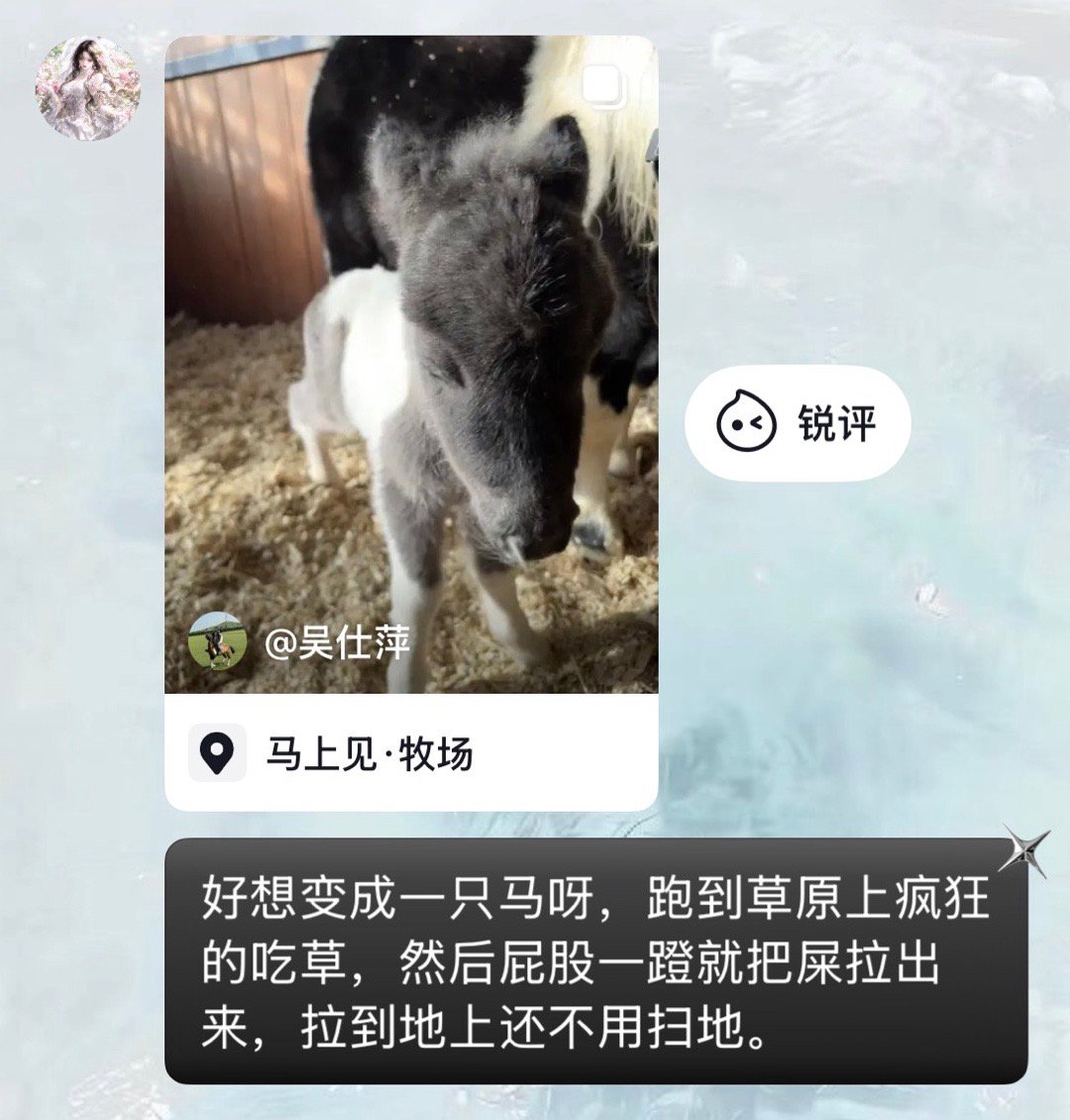 江西人素质一览