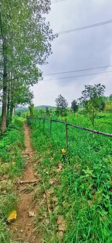 《铃儿叮当一路春》
骑马郊外踏歌行，
东瞧西望悠闲乐。
满眼春光彩缤纷，
马儿闻