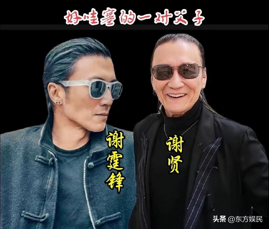 很多人不清楚，谢贤、谢霆锋是华语影坛罕见父子双影帝。谢贤在85岁时凭借《杀出个黄