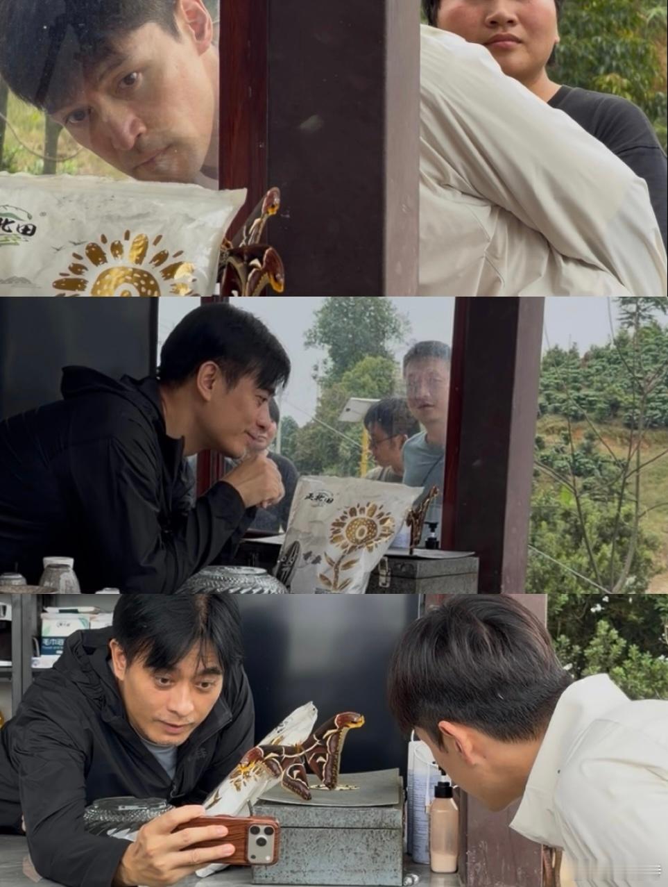 胡歌陈龙抱着必出神图的决心本来以为是来记录大蛾的美好瞬间，结果胡歌陈龙专注拍照的