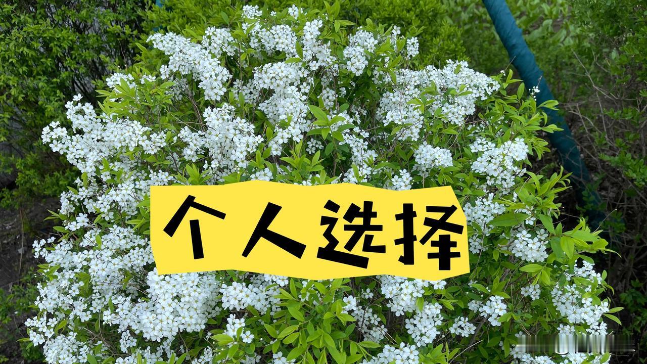 如果你是杨钰莹，
赖文峰出狱后会见他吗？
见与不见，
每个人都有自己的考量。
