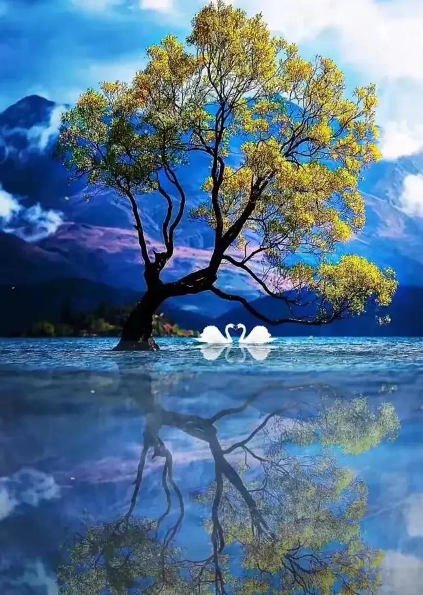 在繁华的都市中，许多人都在追逐着名利与地位，似乎只有不断向上攀爬，才能获得幸福。