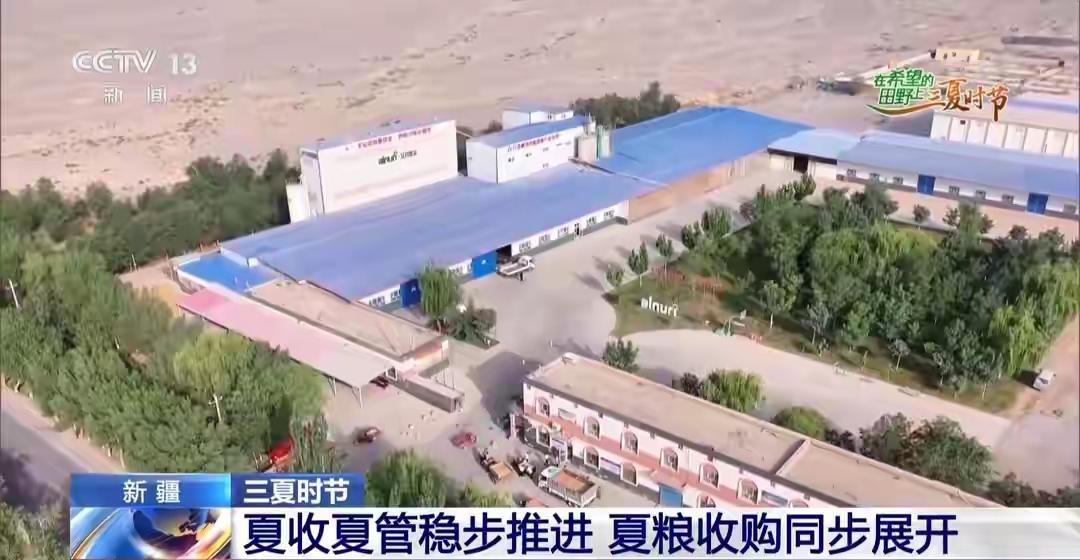 视频丨全国多地夏收夏管稳步推进 科技种粮稳丰收
随着“三夏”生产逐步推进，这段时