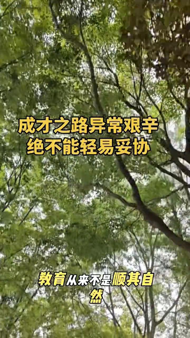 成才之路异常艰辛，绝不能轻易妥协。
你要知道教育从来不是顺其自然，而是在关键节点