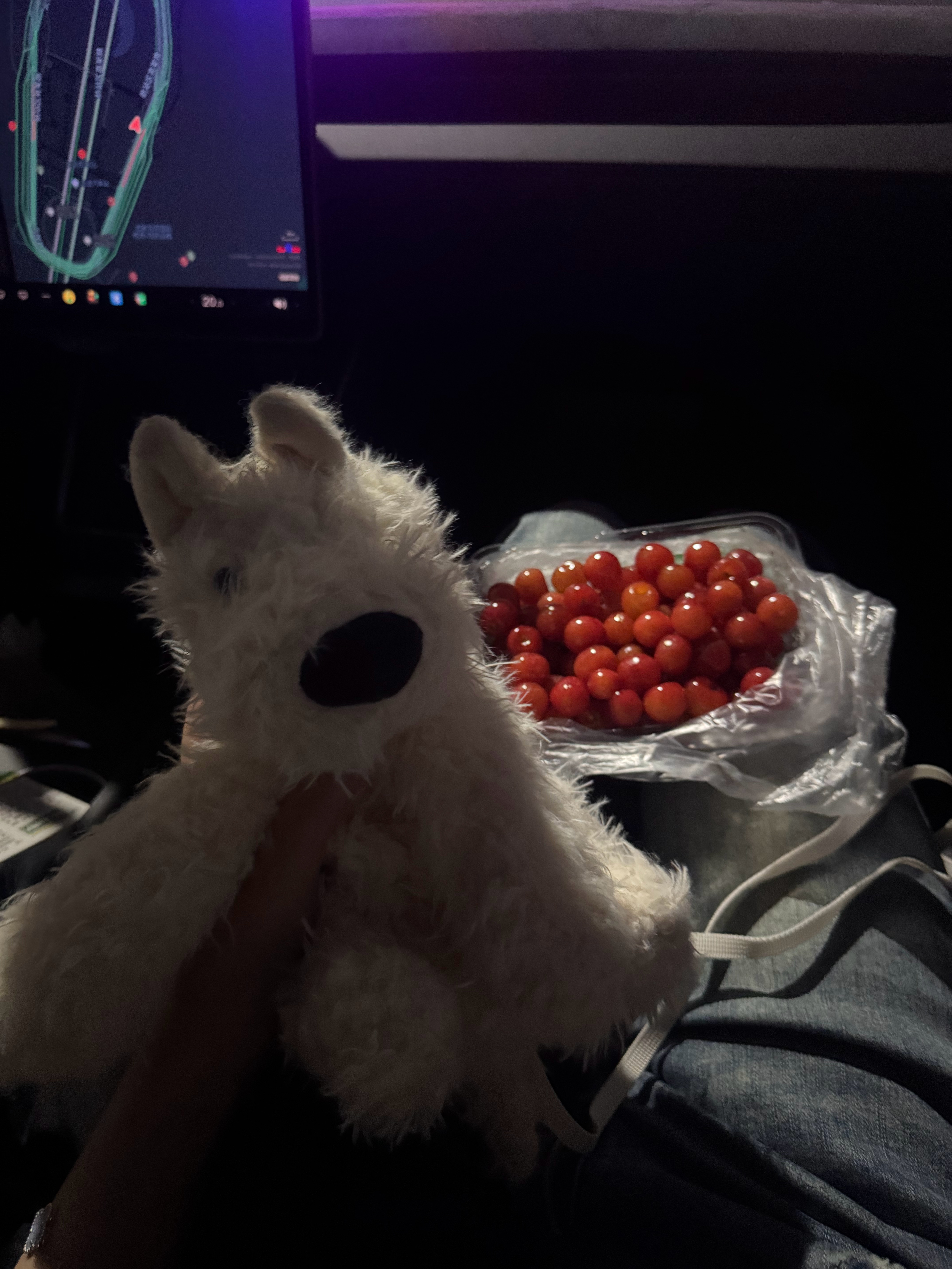 谢谢了呀！抵达成都！开始增肥！（开玩笑的！这次我会收敛自己不吃那么多 