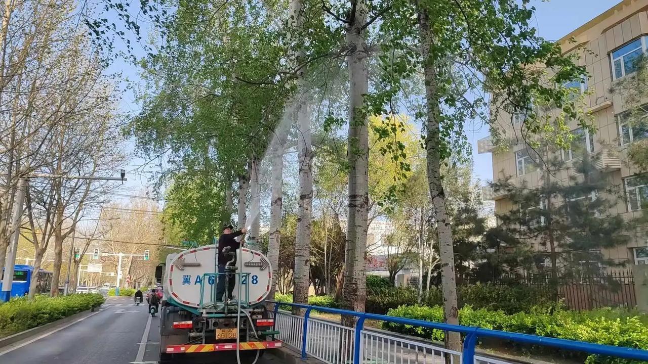 【石家庄飞絮少了？原来是放大招了！】随着气温回升，石家庄迎来杨柳飞絮高发期。为减