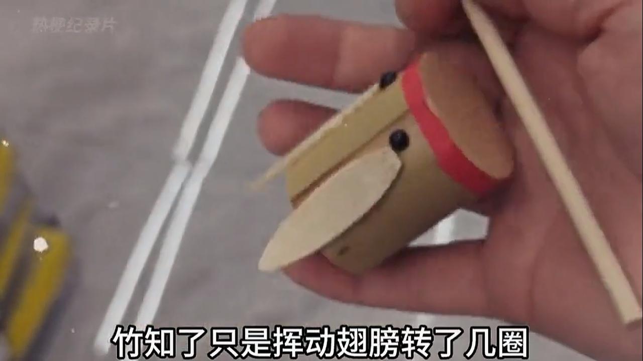 裹挟着爱国情怀的知了猴，他还能叫多久，1000万之内遥遥领先全世界