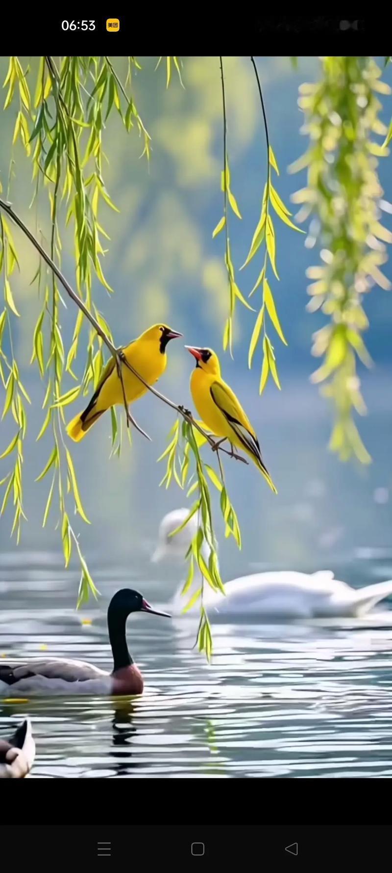 下联：鸟语惊飞梦里诗。