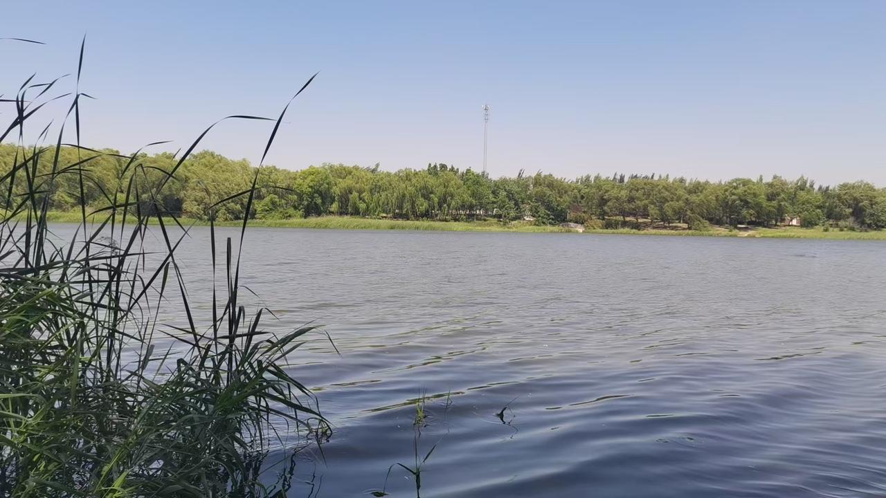 师父教崩拳的时候，
胳膊一拧，
其它的都交给了走步和身法，
你一接手，如火车碰撞