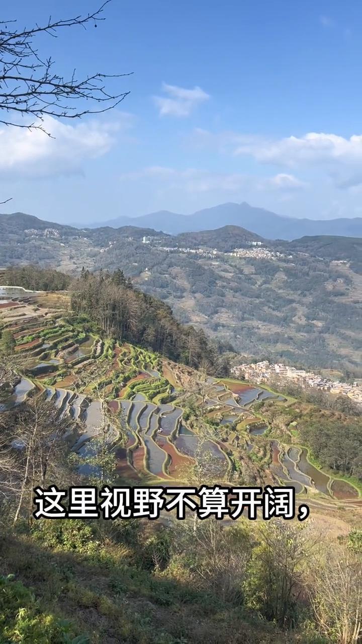 哈尼族梯田老县城彩色梯田区。
各位朋友，现在我们站在元阳梯田的罗马村观景台，这里