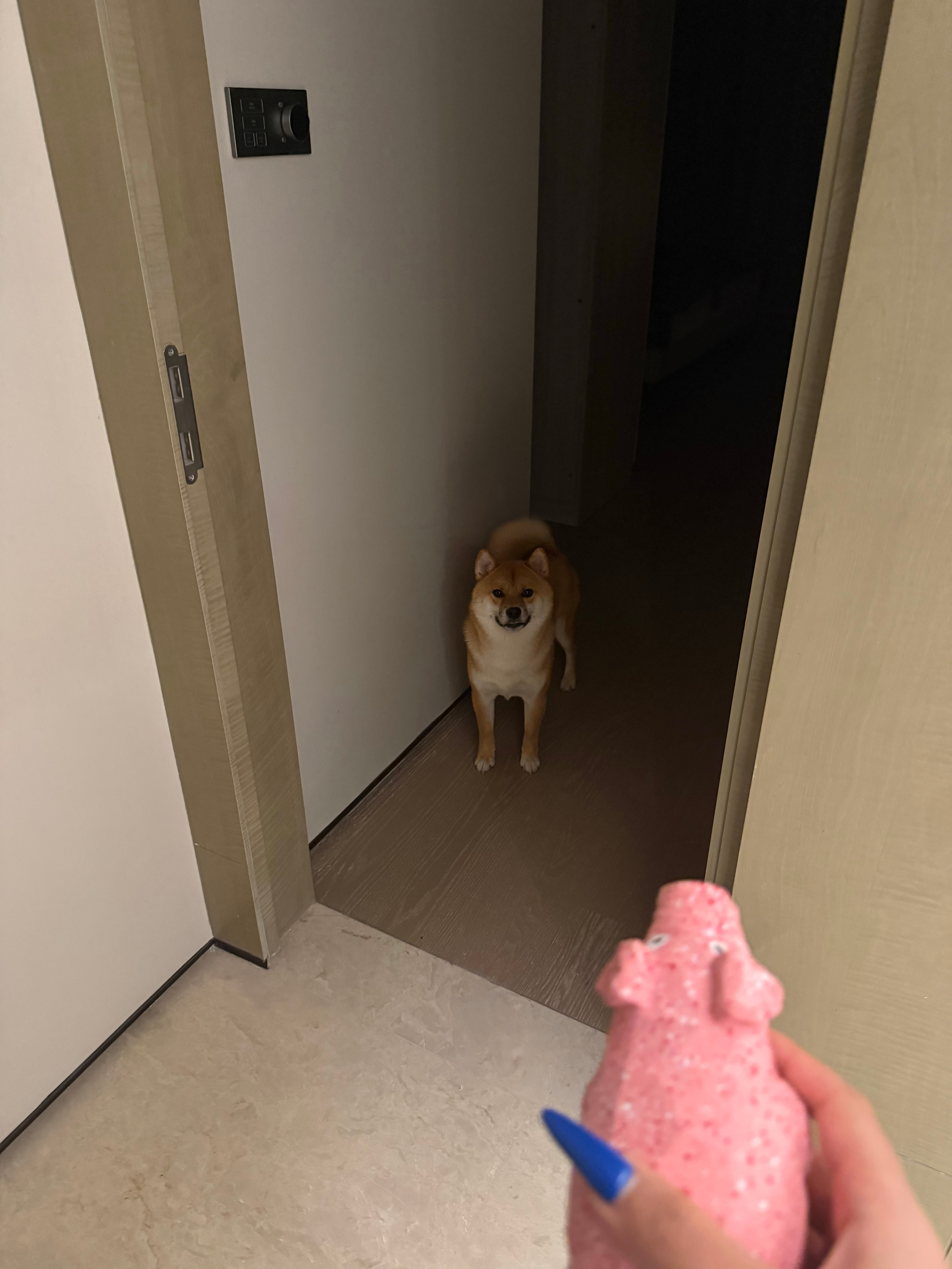 今天要去看蜘蛛侠嘿嘿 现在出发 