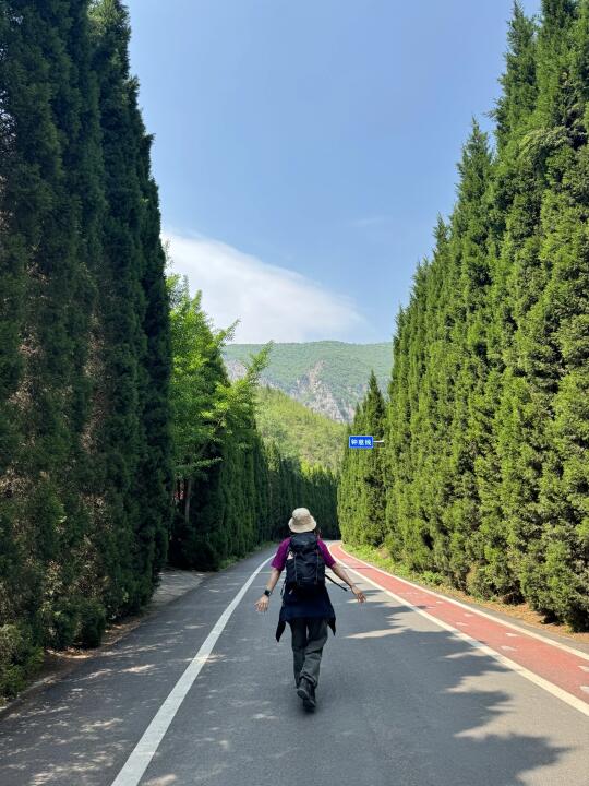 大自然救我命🌳