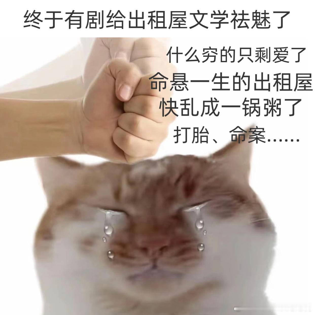 终于有剧给出租屋文学祛魅了命悬一生感谢命悬一生，撕碎出租屋滤镜 ​​​