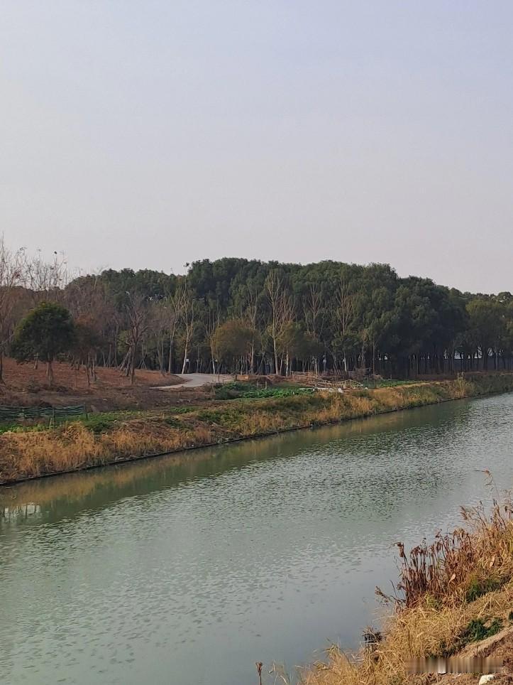 冬日生活打卡季永康城外围小河流水清悠悠