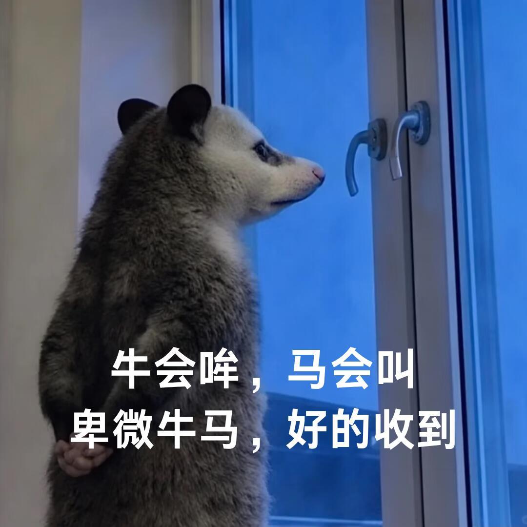 每天精神状态：上班是被迫营业的鼠鼠，下班是只想躺平的老鼠 