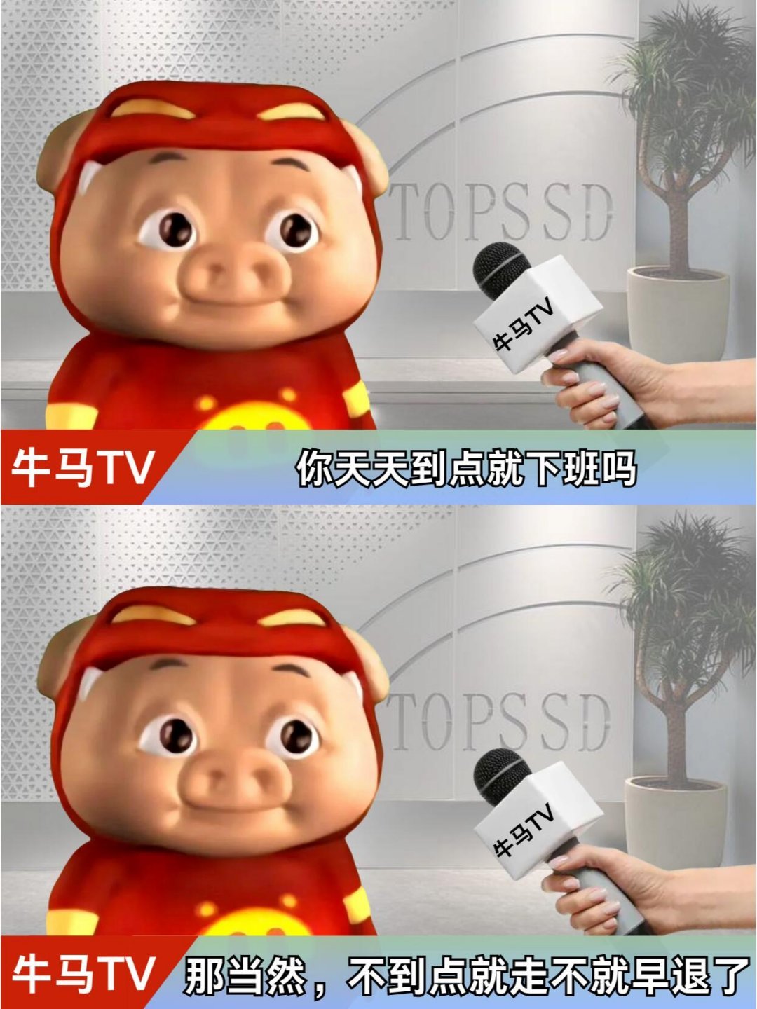 你觉得一份工作最要紧的是什么﻿ ​​​