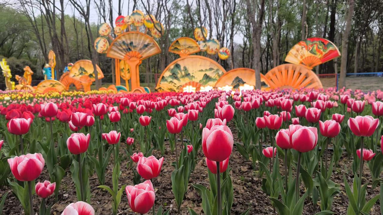 分享几个观点，快被美伊副疯了！

1、美伊和谈极限拉扯。一会儿说要谈了，一会儿又