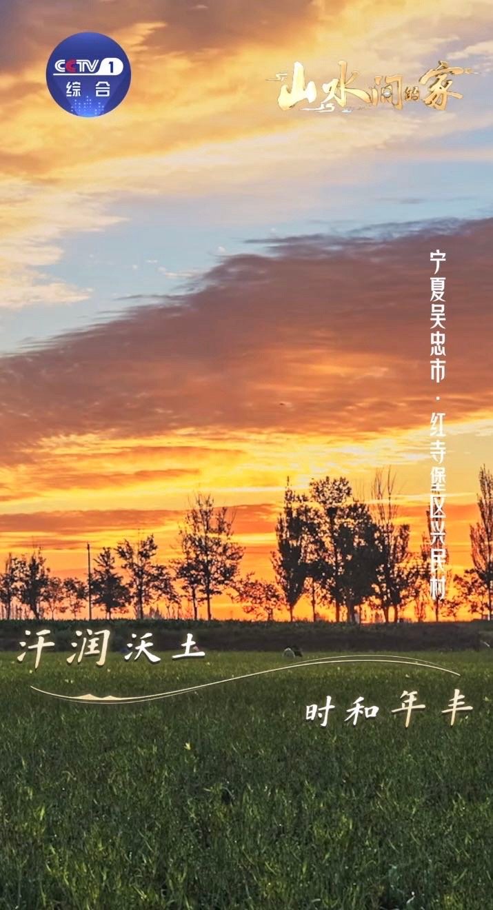 有一种美叫丰收中国 江南稻穗压弯秆，西北苹果红透枝，东北大豆滚满仓。不同水土的丰