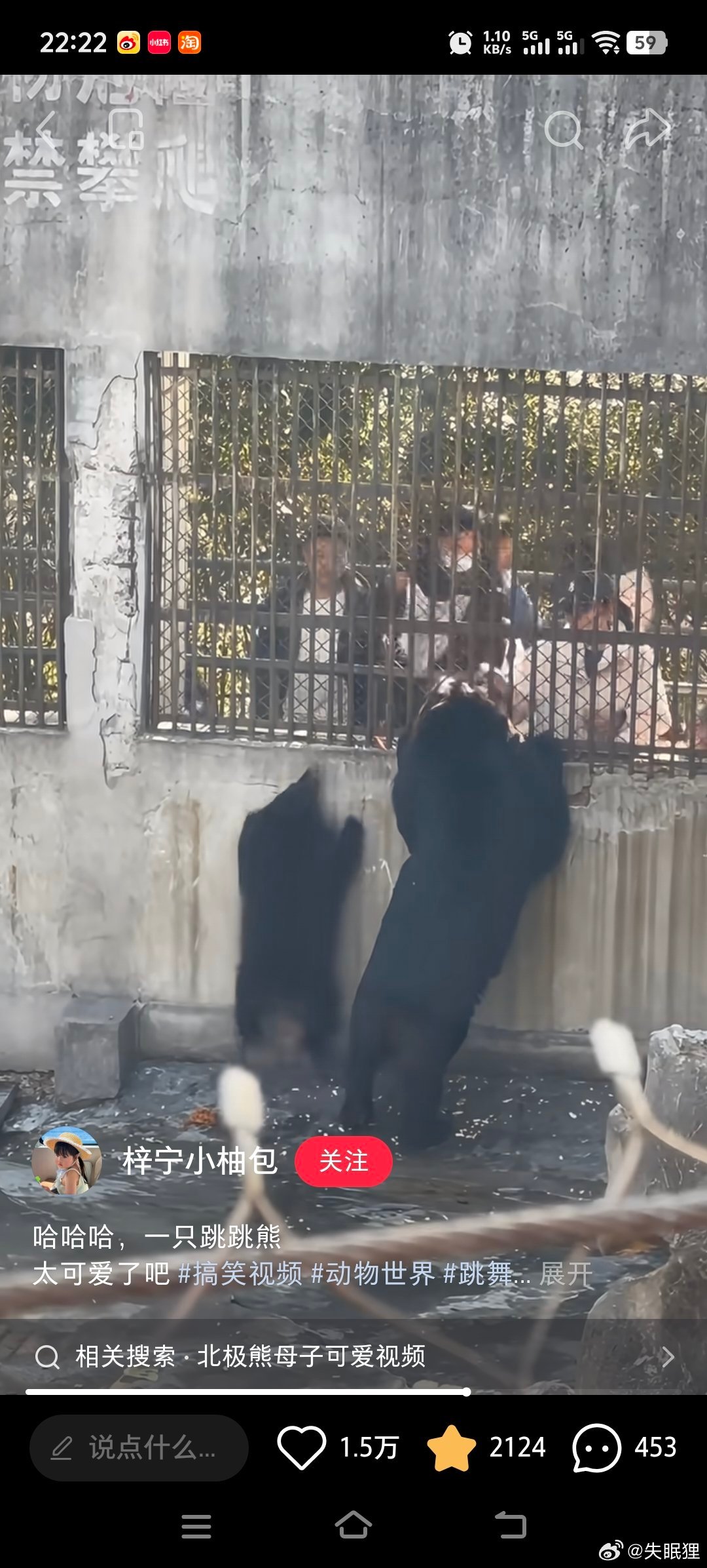看到跳跳熊 网页链接 和跳跳浣熊 网页链接