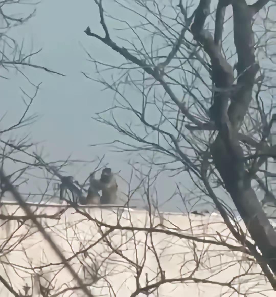 乌军防空小组在楼顶上用高射机枪打爆一架低空飞行的俄军BM-35无人机

这件事最