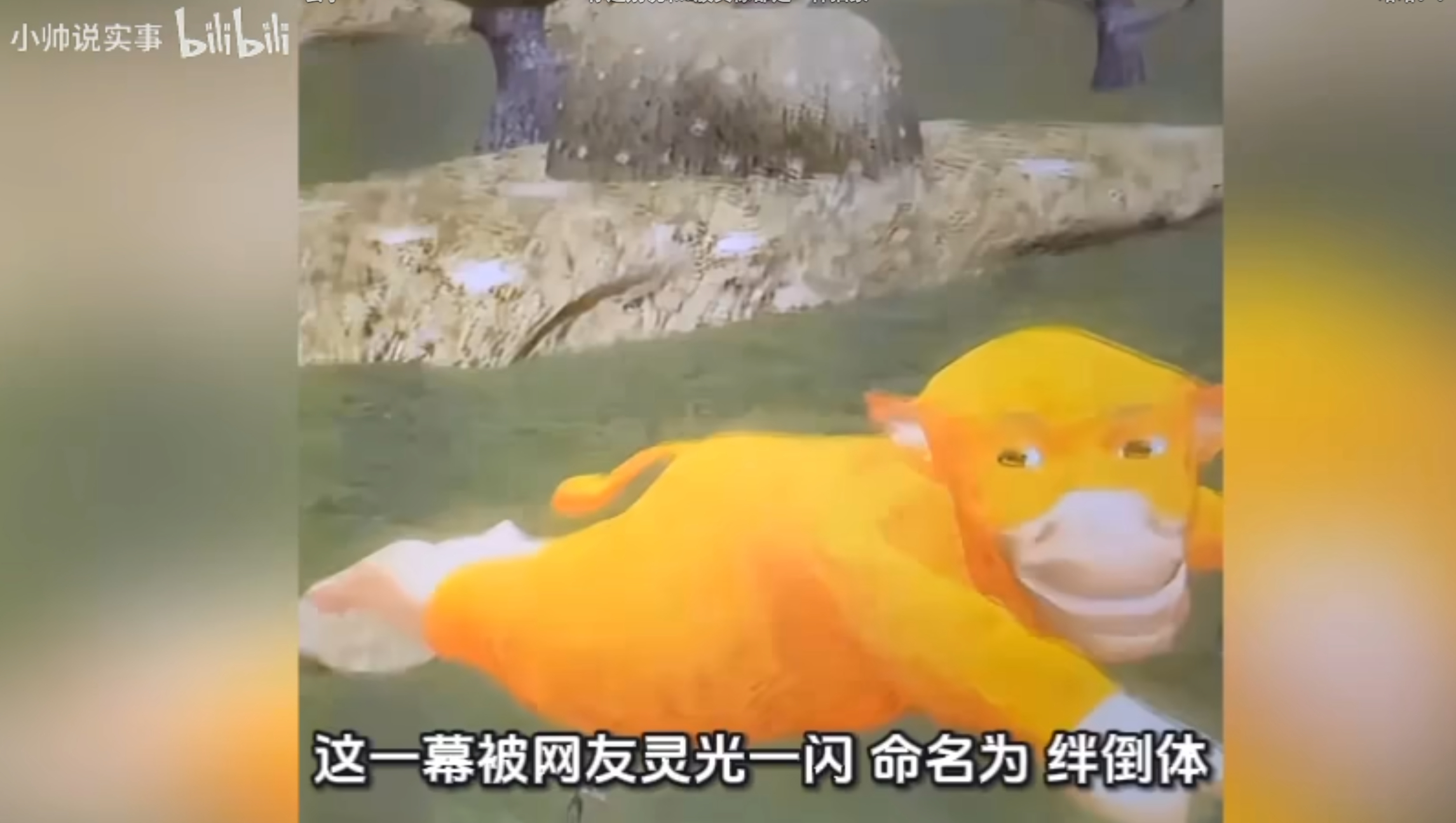 这个解释太搞笑了 