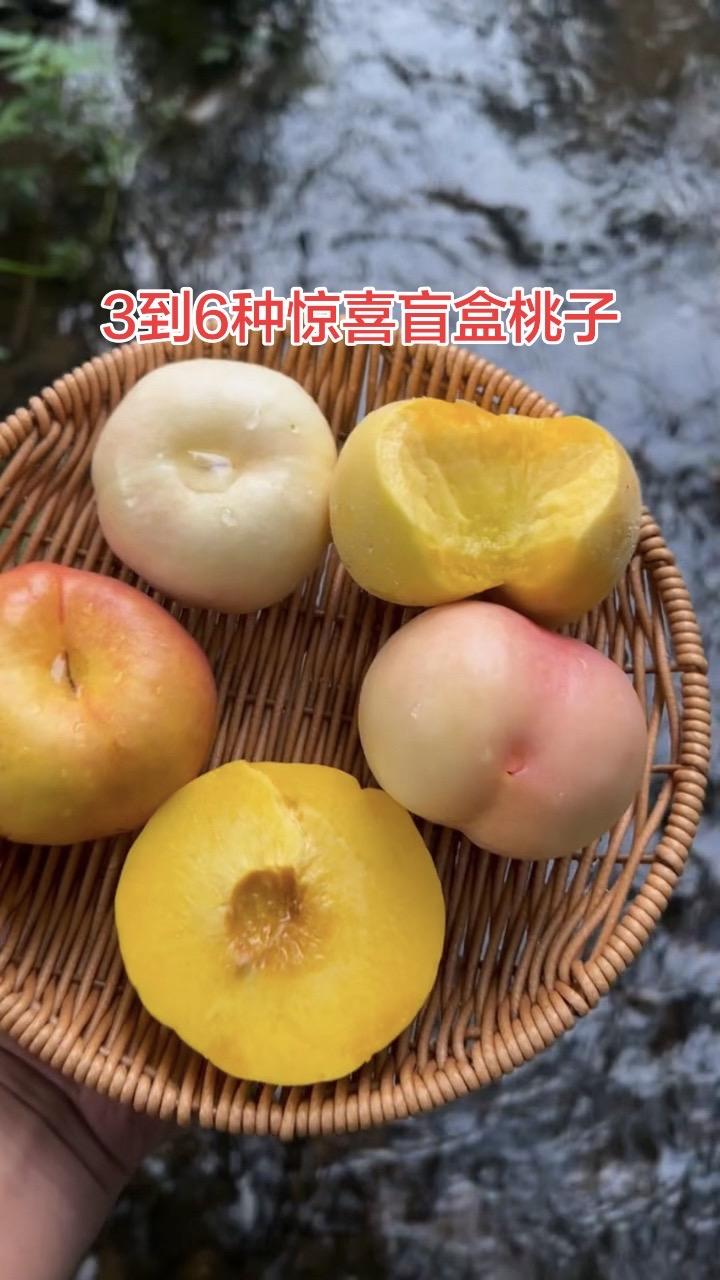 水果新吃法 水果的正确打开方式 水分足的水果 水果爱好者 果切日常