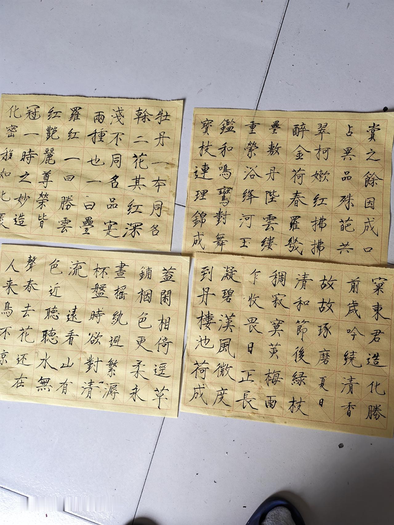 坚持每天练字