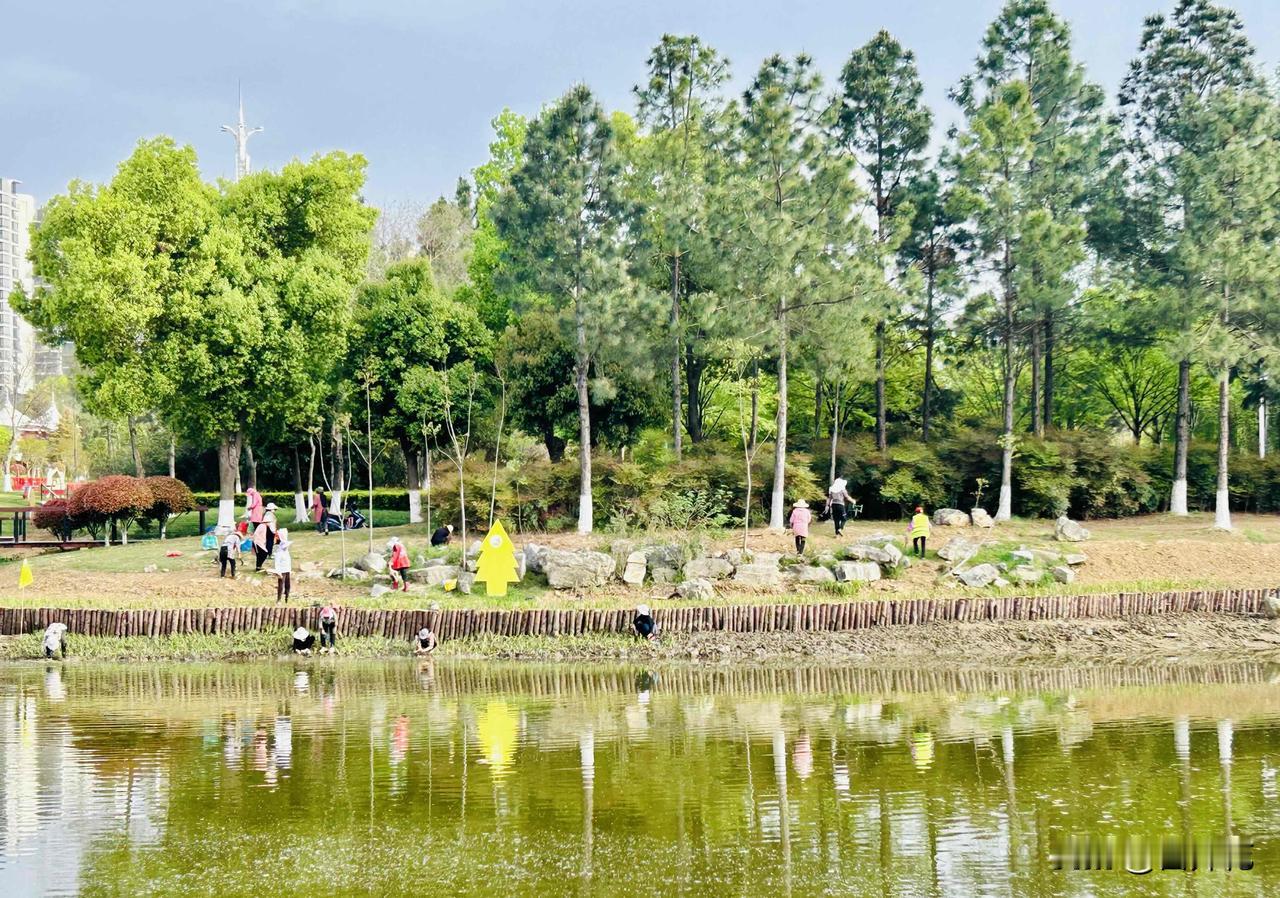为公园添绿之人——春日劳动图（随手拍）。那日稍有空暇，我前往湿地公园一游，便有了