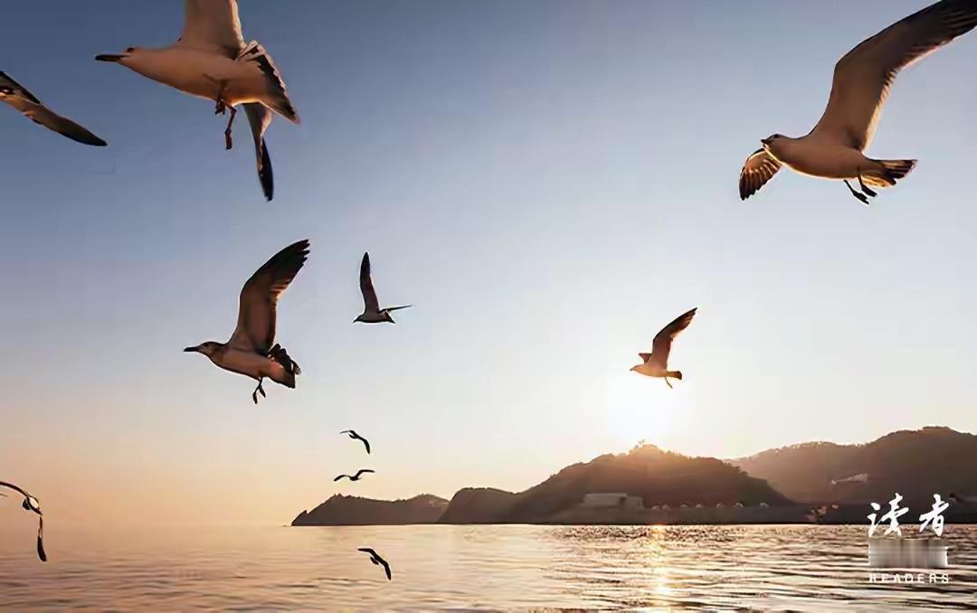 发现没，凡是夫妻关系好的，都有一个共性，妻子允许丈夫做自己，丈夫也允许妻子做自己