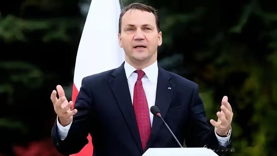 波兰外长西科尔斯基在2月26日议会辩论中，被前外长问及北溪管道时，当场脱口而出：