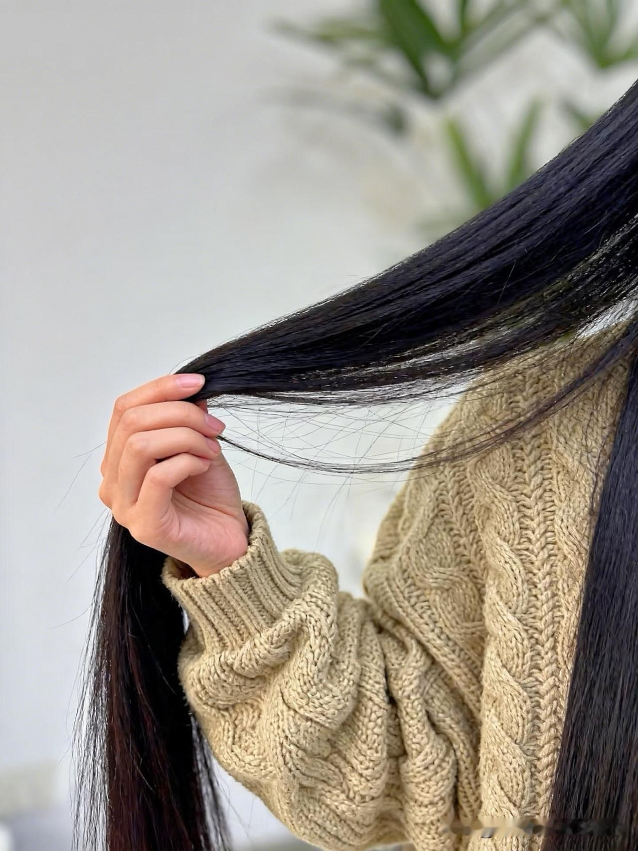 温柔毛衣搭配长直发，冬日暖阳下的美丽风信子