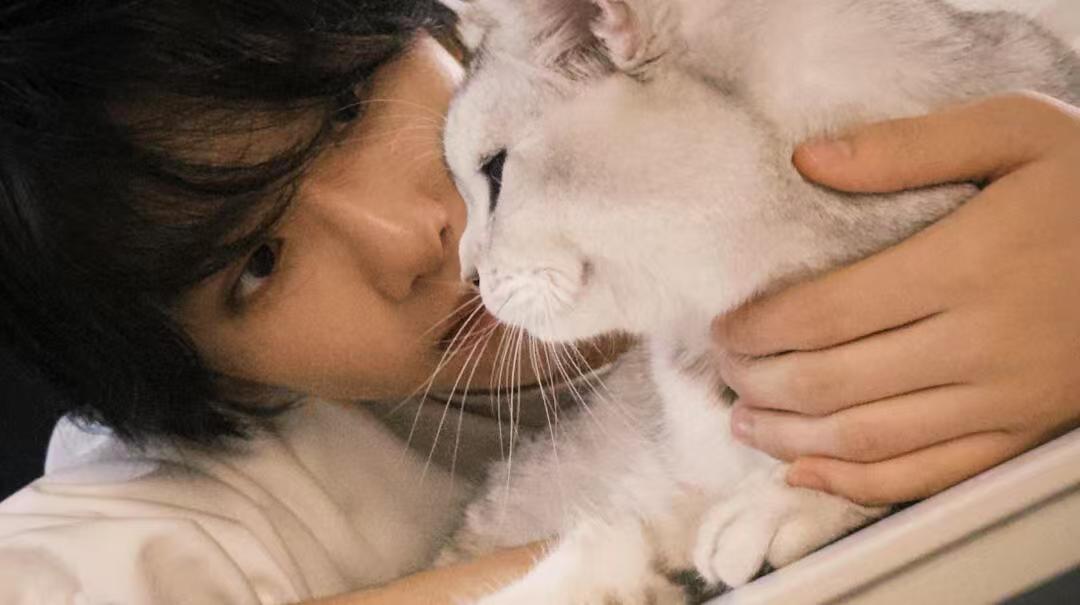 马柏全抱猫照  马柏全日系帅哥氛围感   终于等到马柏全更新营业照[求关注]抱猫