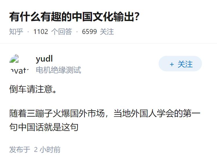 有什么有趣的中国文化输出？